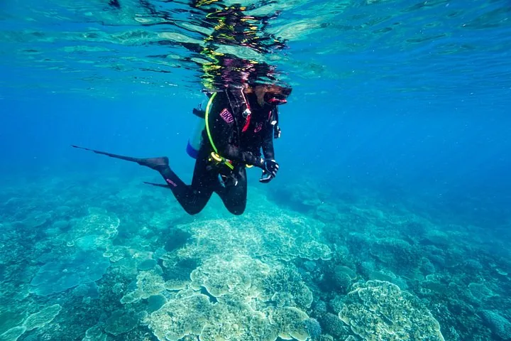 A scuba diver swims underwater above a vibrant coral reef.