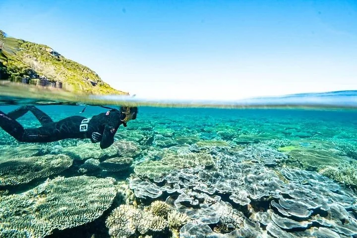 A snorkeler explores the underwater coral reef near a rocky coastline.
